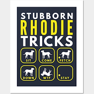 Stubborn Rhodie Tricks - Dog Training Posters and Art